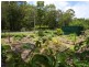 2a Forest Way, Woombah NSW 2469