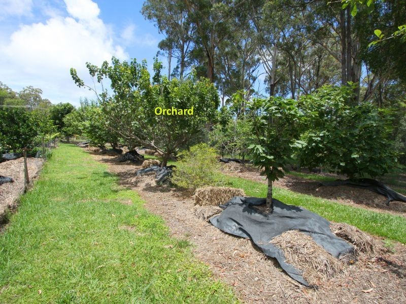 2a Forest Way, Woombah NSW 2469