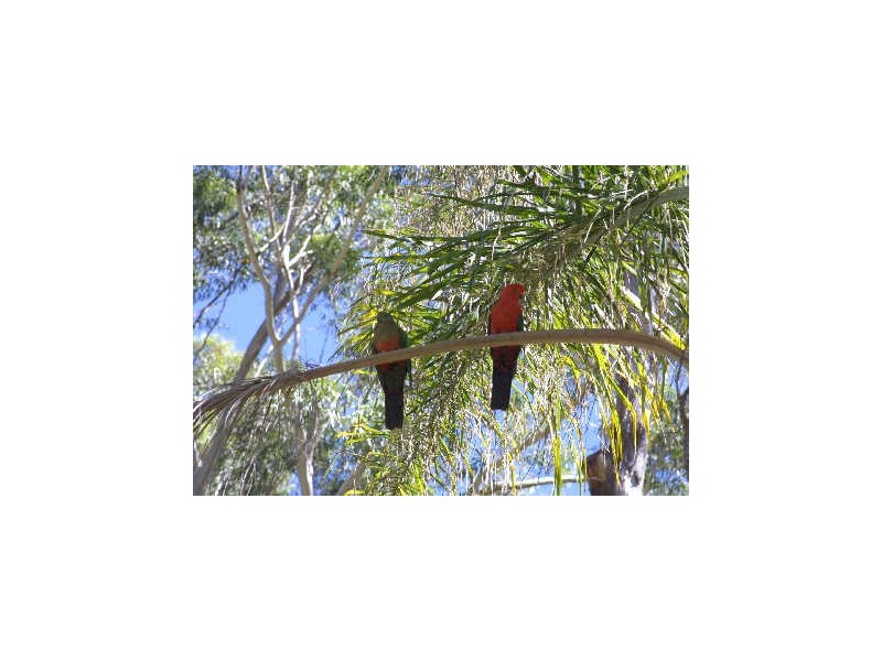 2a Forest Way, Woombah NSW 2469
