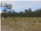 Lot 111 Willie Wagtail Street, Gulmarrad NSW 2463
