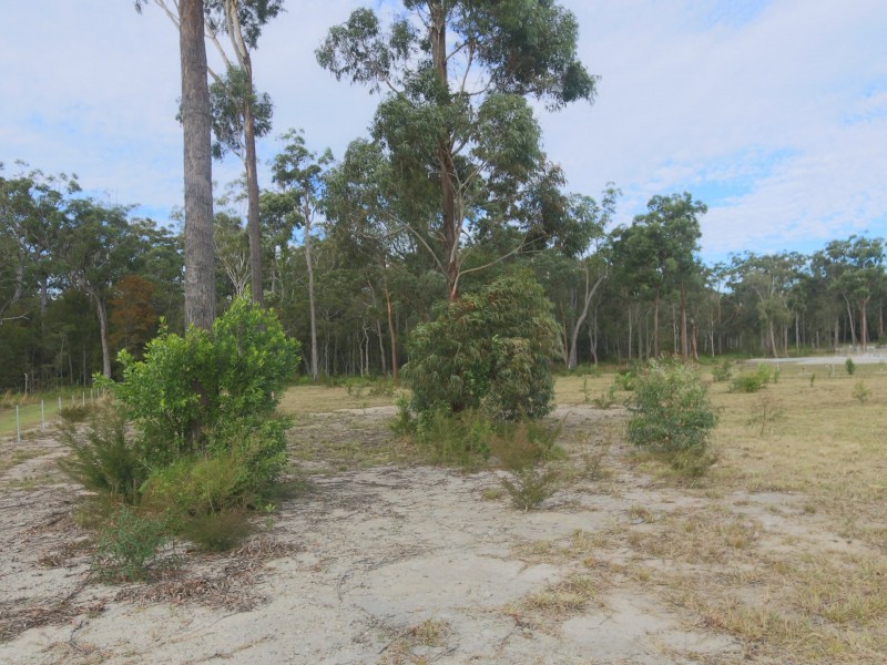 Lot 111 Willie Wagtail Street, Gulmarrad NSW 2463