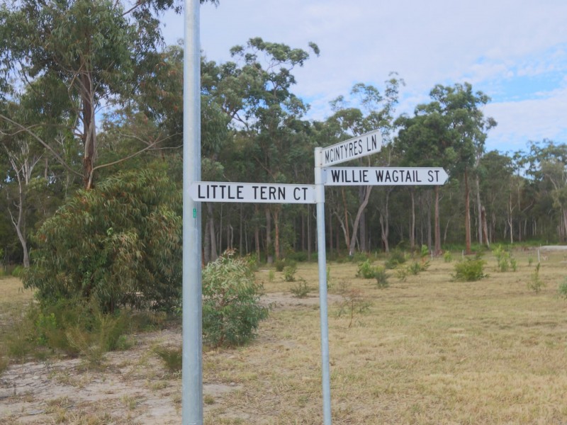 Lot 111 Willie Wagtail Street, Gulmarrad NSW 2463