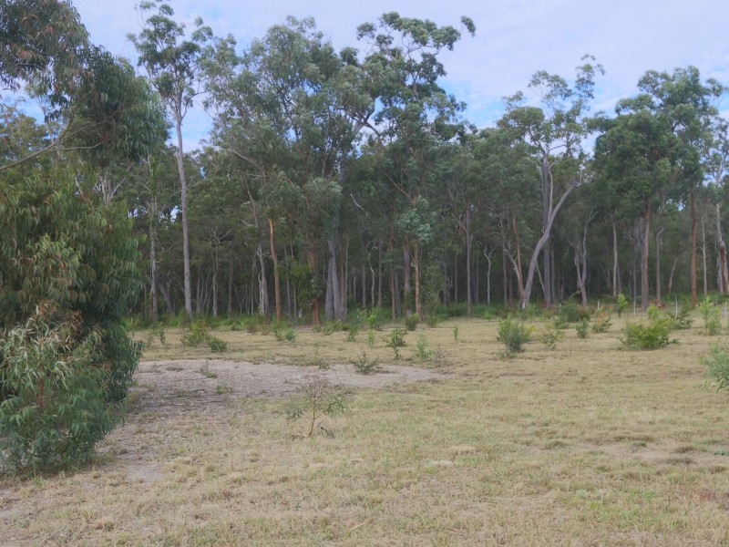 Lot 111 Willie Wagtail Street, Gulmarrad NSW 2463