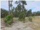 Lot 111 Willie Wagtail Street, Gulmarrad NSW 2463