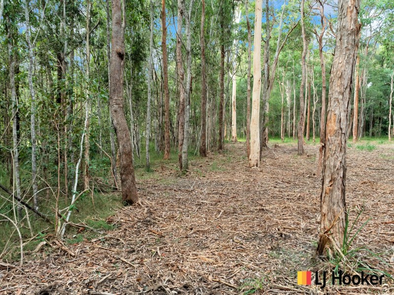 Lot 3 Gardiners Road, James Creek NSW 2463