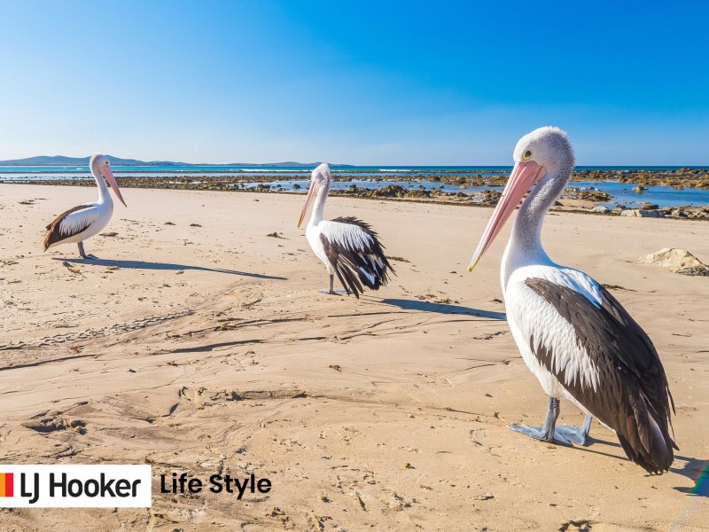 6 Baumea Street, Brooms Head NSW 2463