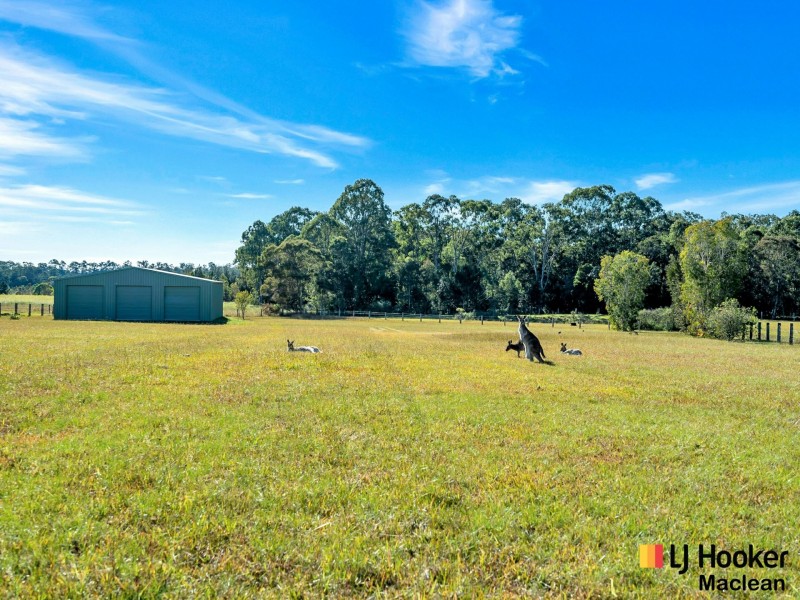 24 McKenzie Drive, Gulmarrad NSW 2463