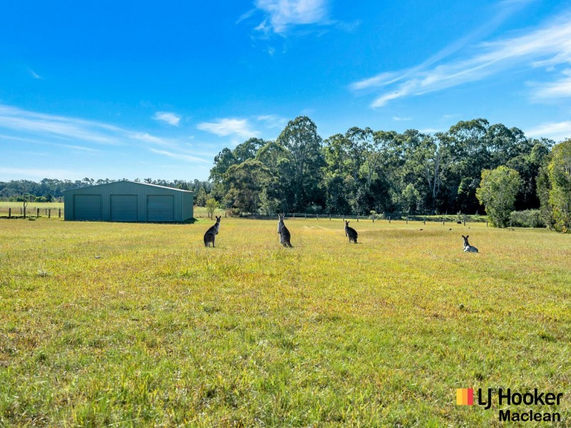 24 McKenzie Drive, Gulmarrad NSW 2463