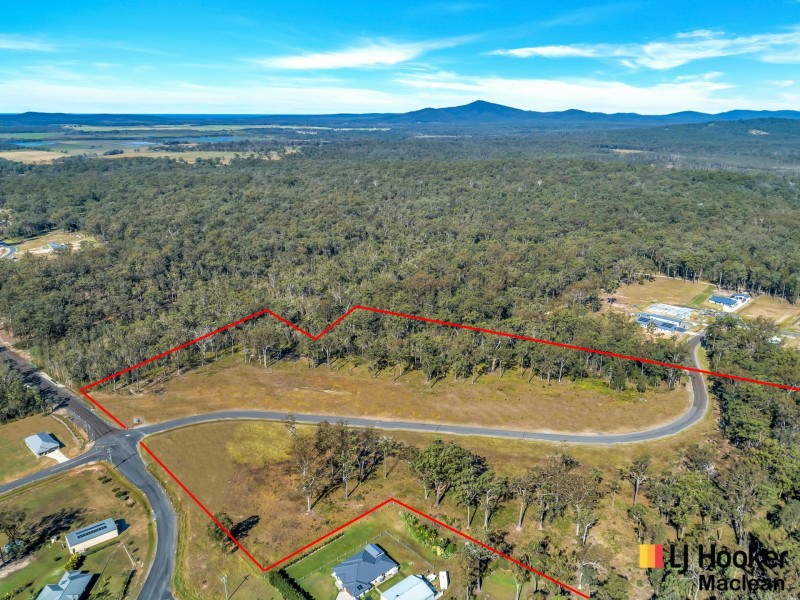 Lot 41 Dianella Drive, Gulmarrad NSW 2463