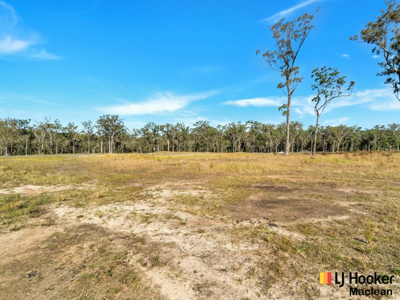 Lot 47 Dianella Drive, Gulmarrad NSW 2463