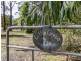 23 Australia Drive, Gulmarrad NSW 2463