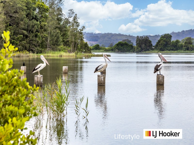 27 Bryce Crescent, Lawrence NSW 2460