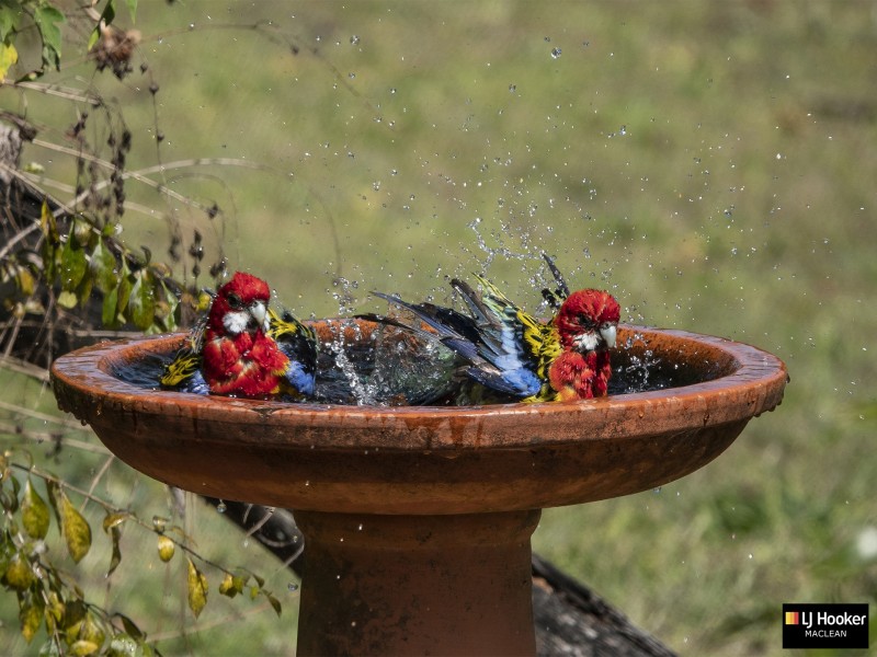 82 South Arm School Road, South Arm NSW 2460