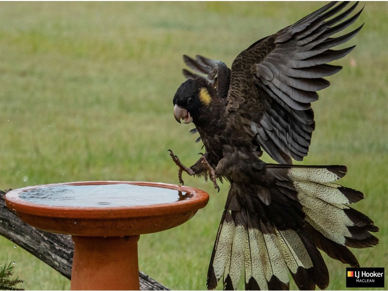 82 South Arm School Road, South Arm NSW 2460