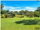 16 Clarence Street, Ashby NSW 2463
