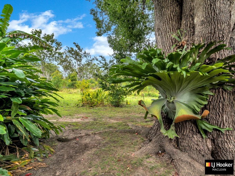 Lot/2 Off Shark Creek Road, Shark Creek NSW 2463