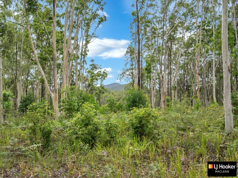 Lot/2 Off Shark Creek Road, Shark Creek NSW 2463