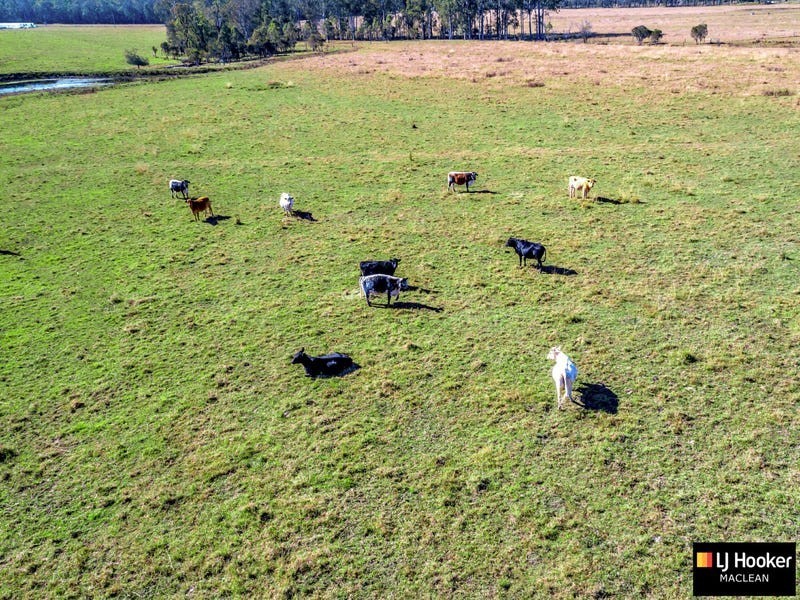 Lot 187 Tullymorgan Road, Lawrence NSW 2460