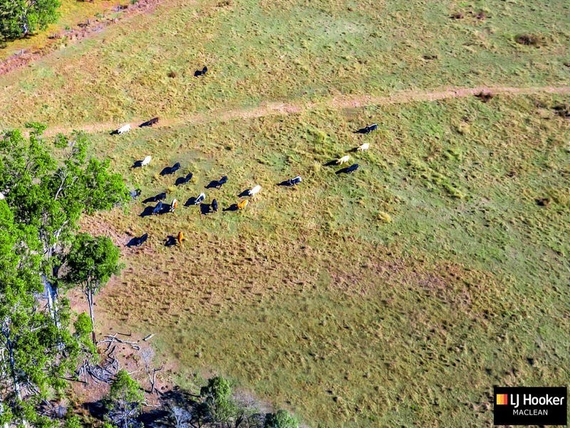 Lot 187 Tullymorgan Road, Lawrence NSW 2460