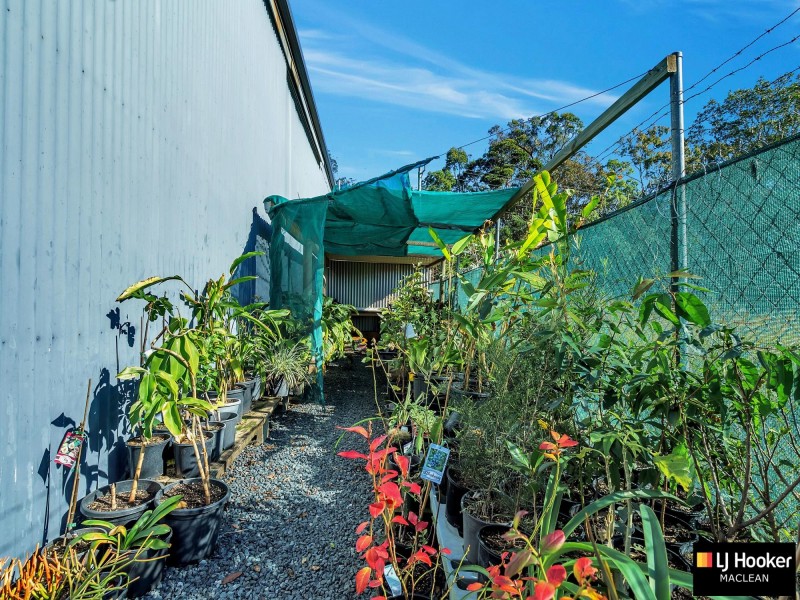 Townsend NSW 2463