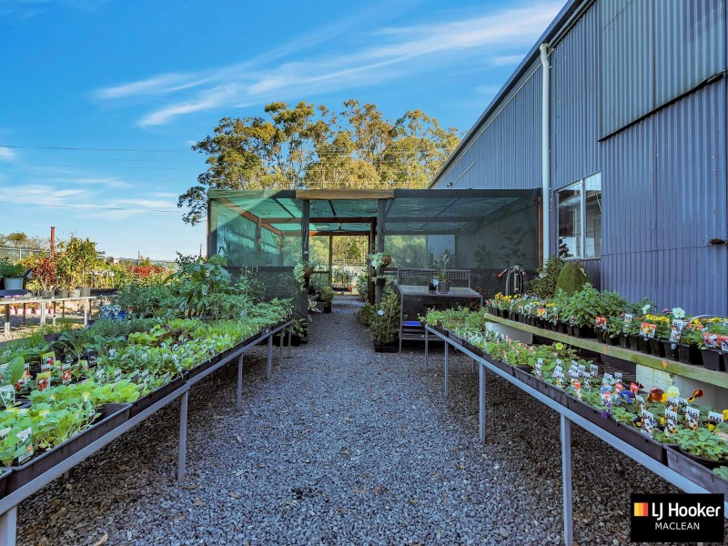 Townsend NSW 2463