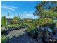 Townsend NSW 2463