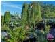 Townsend NSW 2463