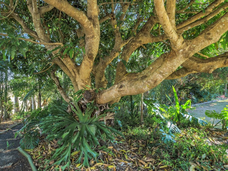 95A Golf Links Road, Ilarwill NSW 2463