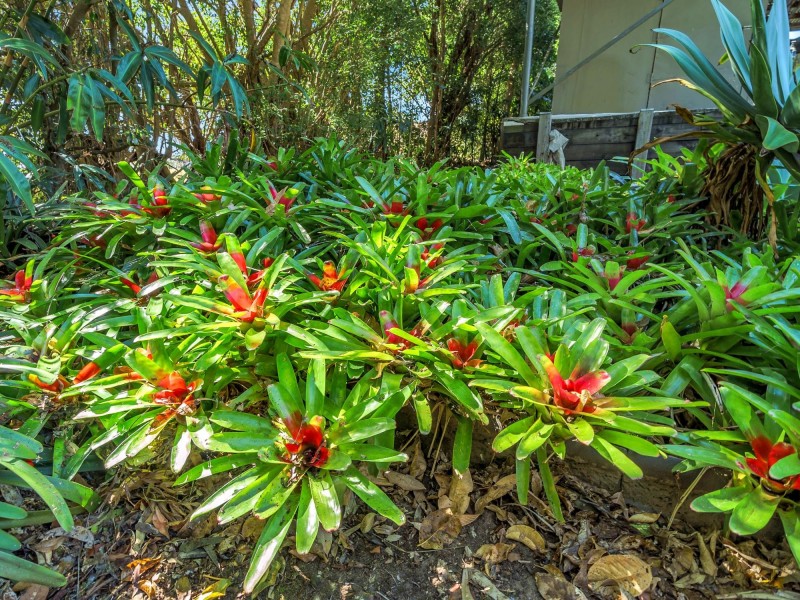95A Golf Links Road, Ilarwill NSW 2463