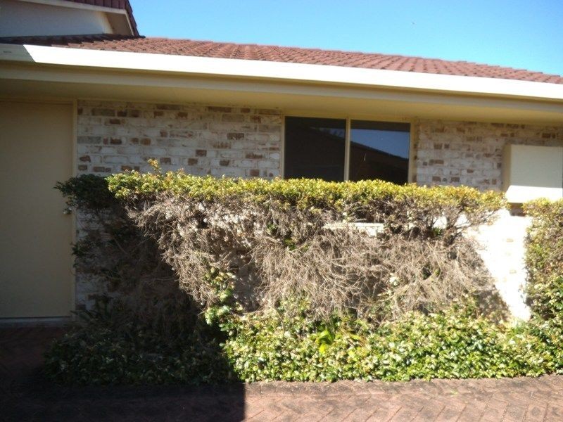 1/6 Emerald Place, Townsend NSW 2463