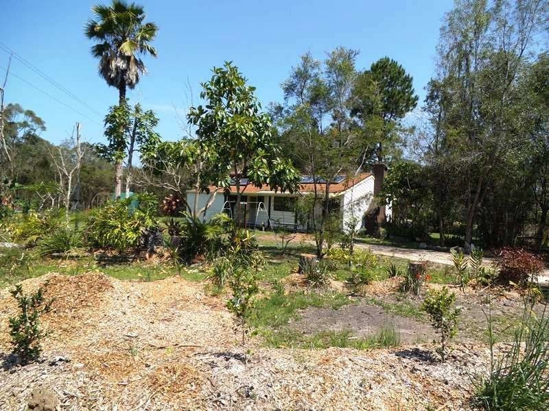 381 Brooms Head Road, Gulmarrad NSW 2463