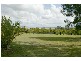 Ashby NSW 2463