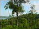 Lot 2 Pinnacles Estate, Maclean NSW 2463