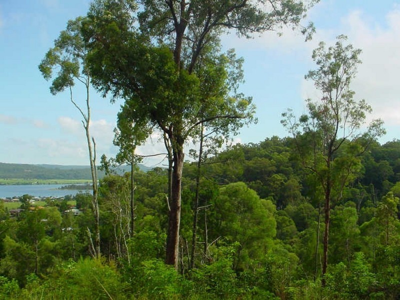 Lot 7 Pinnacles Estate, Maclean NSW 2463
