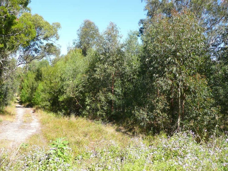 18 Highlands Ridge, Maclean NSW 2463