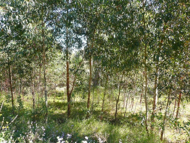 18 Highlands Ridge, Maclean NSW 2463
