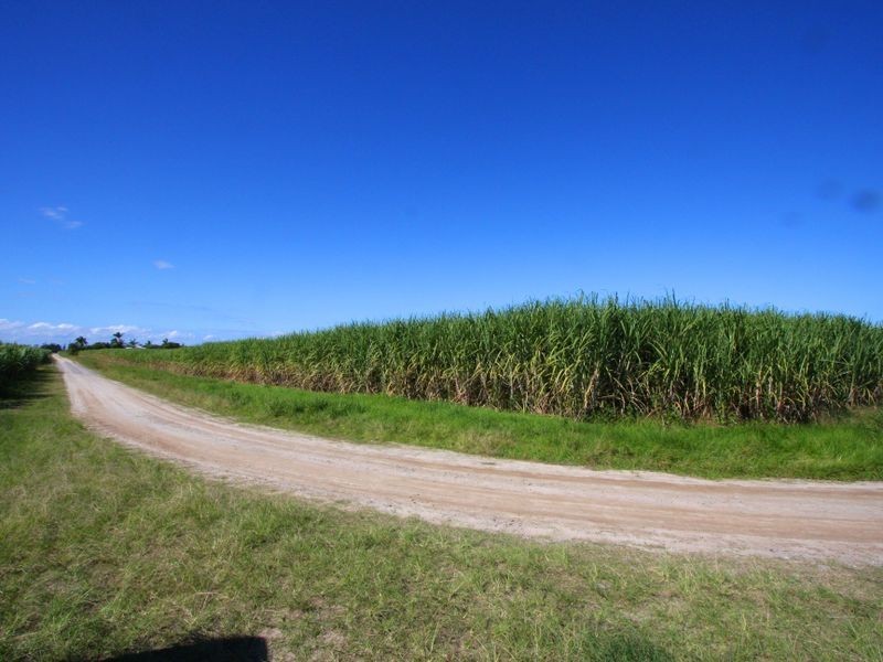 65 Durringtons Lane, Palmers Island NSW 2463