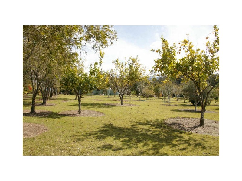 Ashby NSW 2463