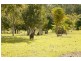 Ashby NSW 2463