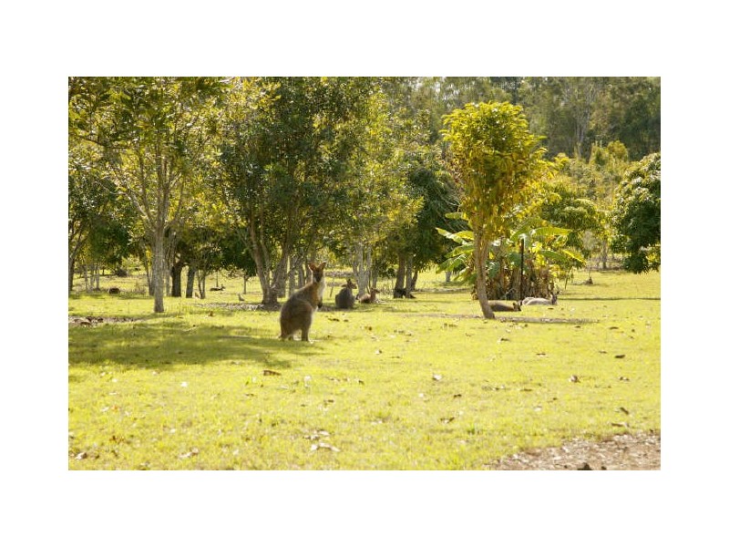 Ashby NSW 2463