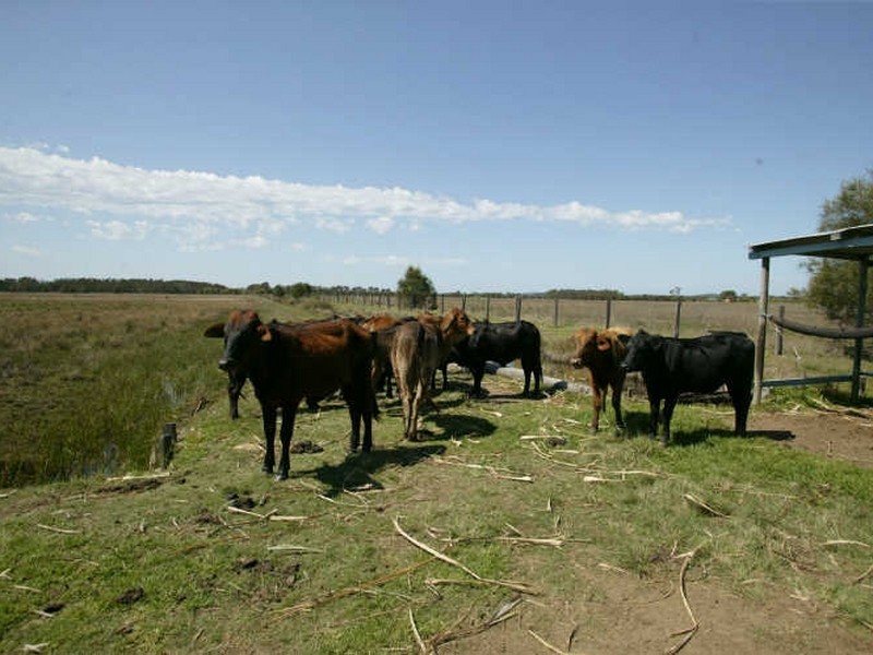 640 North Bank Road, Palmers Island NSW 2463