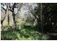 Tucabia NSW 2462