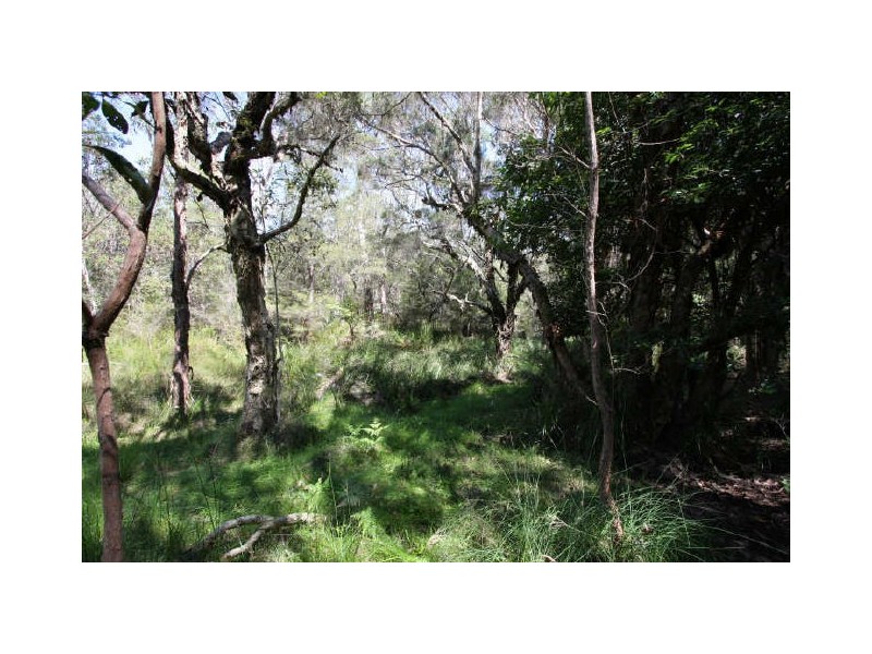 Tucabia NSW 2462
