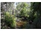 Tucabia NSW 2462