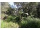 Tucabia NSW 2462