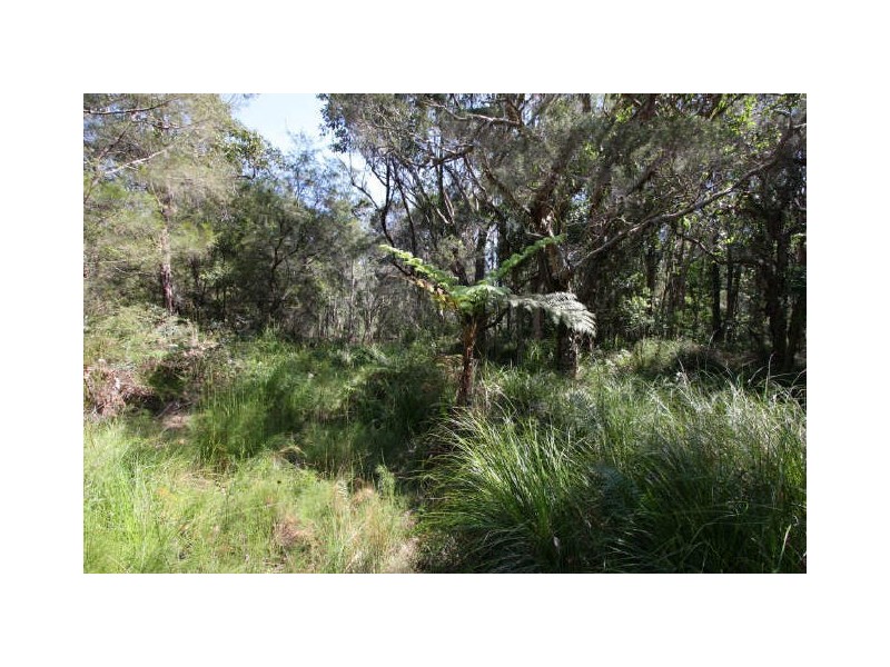 Tucabia NSW 2462