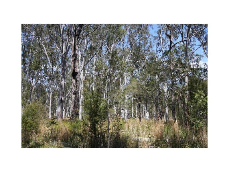 Tucabia NSW 2462