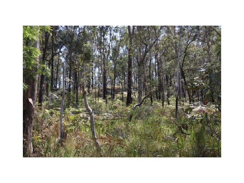 Tucabia NSW 2462
