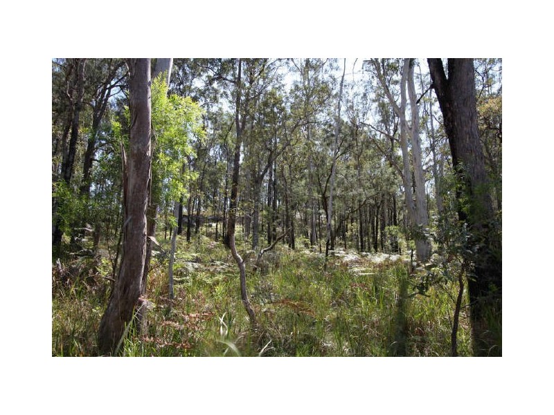Tucabia NSW 2462