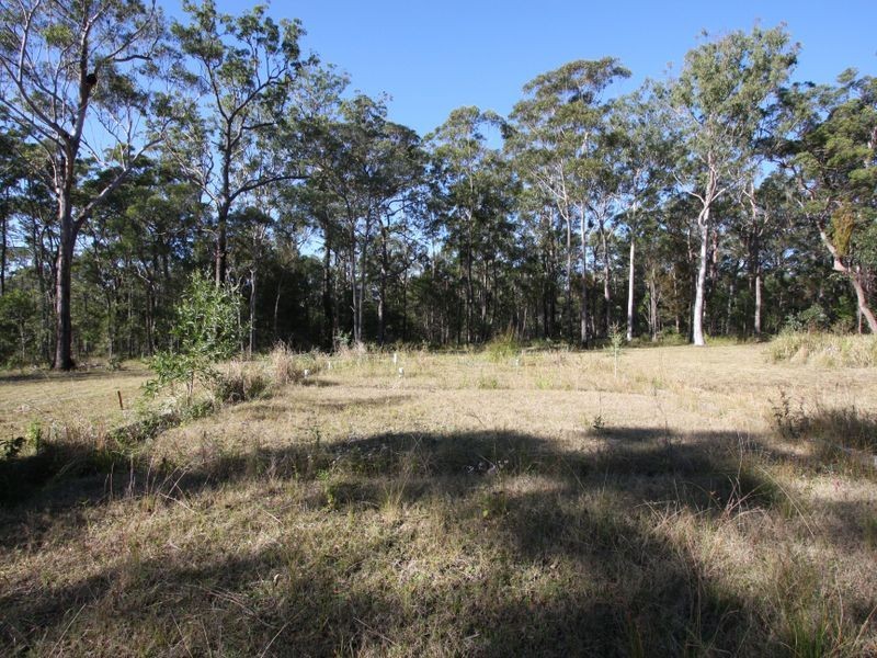 Lot 91 Bruce Drive, Gulmarrad NSW 2463
